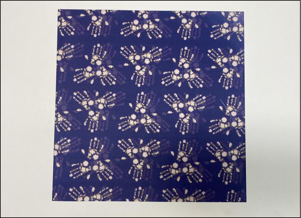 内容 :掌握与运用设计制图软件进行服饰图案设计,并通过数码印花设备