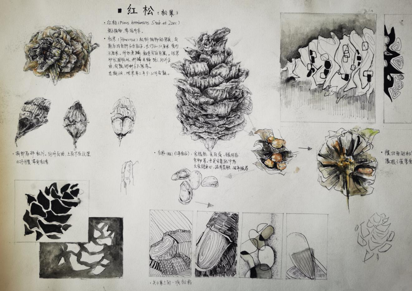 作品名称:自然形态作品