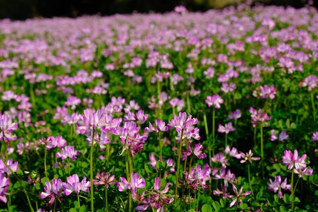 5温州乐清.jpg 5温州乐清.jpg